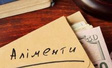 Визначення розміру аліментів для непрацюючого боржника