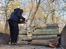 За збір дров у лісах в деяких випадках може загрожувати штраф або навіть кримінальна відповідальність