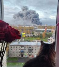 Масштабна атака дронів на Санкт-Петербург та Ленінградську область: уражено нафтовий термінал, OZON, міст і дата-центр