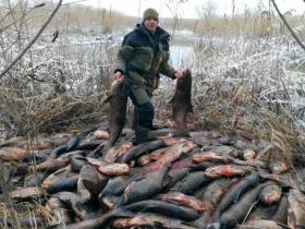 Різниця між штрафом і таксами за порушення правил вилову біоресурсів (інфографіка)