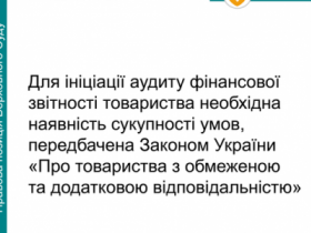 Ініціація аудиту фінансової звітності ТОВ: які необхідні умови?