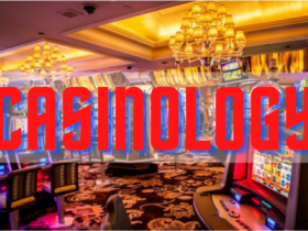Лучшие онлайн казино Украины с лицензией на Casinology