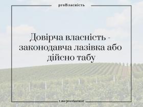 Довірча власність - законодавча лазівка або дійсно табу