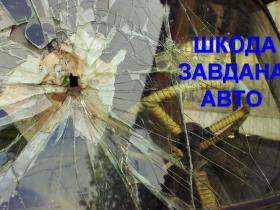 Пошкодження транспортного засобу (авто) як передумова для відшкодування шкоди – алгоритм, судова практика, ВС
