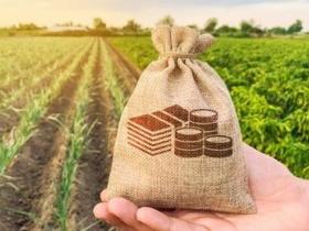 Як в Україні оформити право власності на земельний пай і що буде якщо не зробити це до 2025 року?