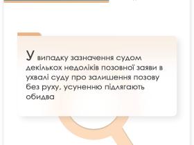 При зазначенні судом декількох недоліків позовної заяви в ухвалі про залишення позову без руху, усуненню підлягають обидва
