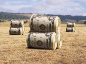 Переселенці можуть отримати до $1,5 тис. на відновлення свого агробізнесу