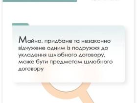 Майно, придбане та незаконно відчужене одним із подружжя до укладення шлюбного договору, може бути предметом цього договору