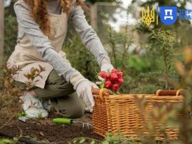 Правове регулювання роботи сезонних працівників