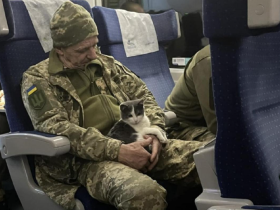 В Укрзалізниці нагадали алгоритм придбання квитків військовими та відкрили для них гарячу лінію