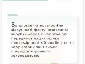 Дотримання вимог природоохоронного законодавства: встановлення факту вирубки дерев