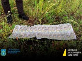 НАБУ перевіряє нардепа на причетність до незаконної діяльності по перетину кордону чоловіками