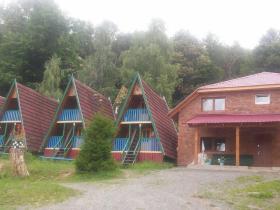 Ремонт дитячого табору на Закарпатті за гроші київського бюджету: розпочато кримінальне провадження