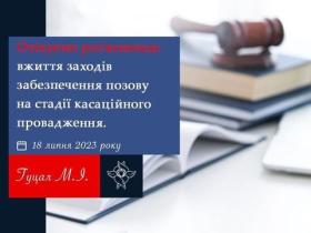 Вжиття заходів забезпечення позову на стадії касаційного провадження