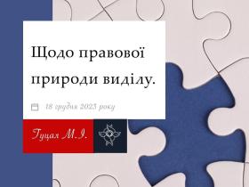 Щодо правової природи виділу