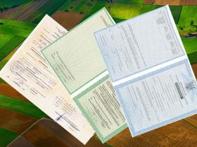 До відома власників земельних ділянок з державними актами старого зразка: що варто знати?