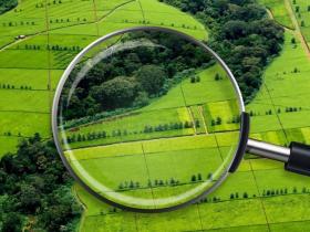 Що буде з невитребуваними земельними частками-паями з 2025 року - роз'яснення адвоката