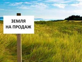 Розпочався другий етап аграрної реформи: що відбувається на ринку землі і від чого залежить вартість гектару?