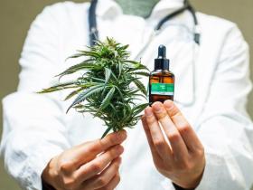 Ухвалено Закон про часткову легалізацію медичного канабісу: що змінюється та що буде дозволено?