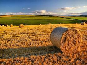 Впроваджено другий етап земельної реформи: що це означає для українців розповів адвокат Ігор Ясько (відео)