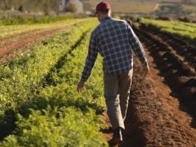 Хто має право на викуп фермерської землі?