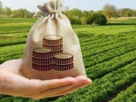 Земельний податок - 2024: які категорії громадян звільняються від сплати та які межі граничних норм?