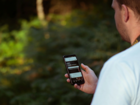 Користування електронними держпослугами в Україні залишається на високому рівні