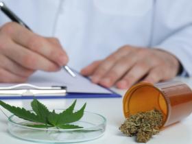 Володимир Зеленський підписав закон про легалізацію медичного каннабісу