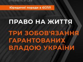 Право на життя: три зобов'язання, гарантованих владою України