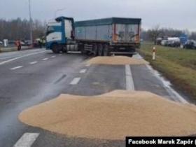 Дії польських фермерів з українським зерном – свідома провокація третьої країни, - експерт