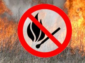 Cпалювання листя та сухої трави: які штрафи передбачені для порушників (інфографіка)