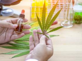 Уряд виключив канабіс, його смолу, екстракти й настоянки з переліку особливо небезпечних речовин