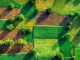 Внесено зміни до Порядку визначення та відшкодування збитків власникам землі та землекористувачам