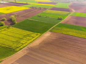 До уваги платників плати за землю: змінюється граничний розмір орендної плати