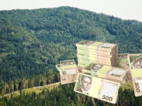 Держпідприємство "Ліси України" за два роки війни закупило автівок на сотні мільйонів гривень - Железняк