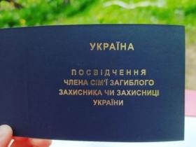 У Мінреінтеграції ініціюють пришвидшення процесу отримання документів сімʼями загиблих захисників та ветеранів