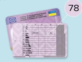 В Україні почнуть видавати нові водійські посвідчення та свідоцтва про реєстрацію авто