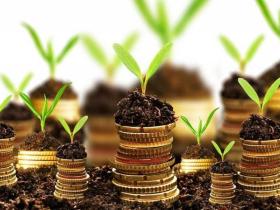 Реалізація переважного права на укладення договору оренди землі