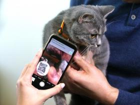 В Україні запустять Єдиний державний реєстр домашніх тварин