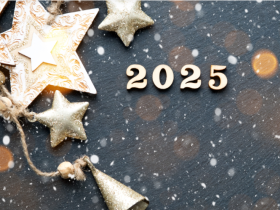 Ліквідація МСЕК, бронювання, штрафи ТЦК у січні 2025: які законодавчі зміни очікуються після Нового року?