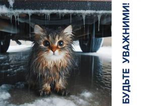 Поліція Києва просить водіїв перед поїздкою оглядати свої автівки