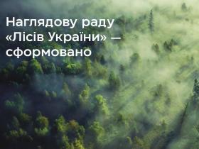 Уряд сформував наглядову раду Держкомпанії «Ліси України»: хто туди увійшов?