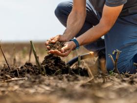 Мінімальне податкове зобов’язання на землю у 2025 році: які нововведення в оподаткуванні?