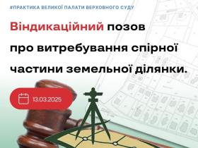 Віндикаційний позов про витребування спірної частини земельної ділянки
