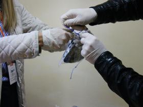 Постанова про освідування та порушення, пов’язані з постановою про освідування. Вплив на допустимість доказів