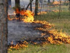 У Міндовкіллі нагадали, чому не можна спалювати сухе листя і траву і яка можлива відповідальність за такі дії