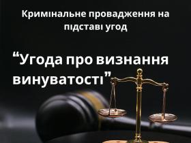 Кримінальне провадження на підставі угод: Угода про визнання винуватості