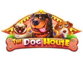 Слот The Dog House - стратегії максимального виграшу в онлайн казино