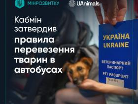 В Україні затверджено офіційні правила перевезення тварин у автобусах - деталі