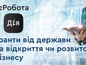 Стягнення коштів мікрогранту за позовом центру зайнятості